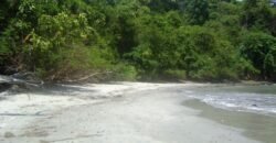 Island for Sale, With Title, in Gulf of Chiriquí