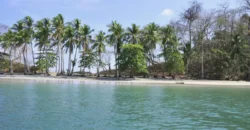 Island for Sale, With Title, in Gulf of Chiriquí