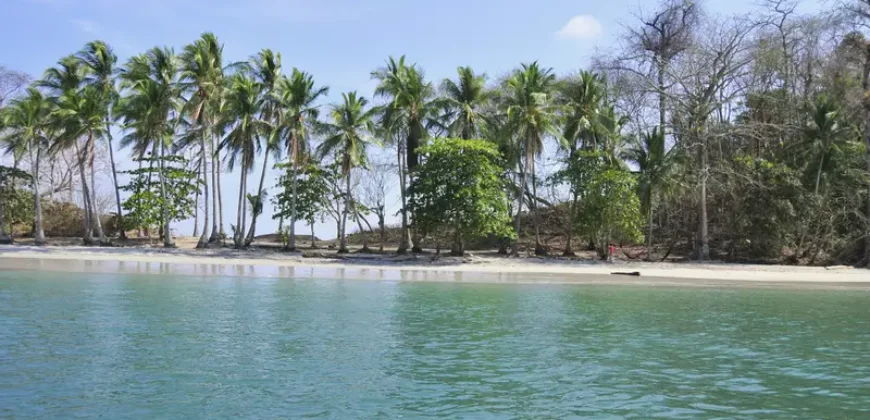 Island for Sale, With Title, in Gulf of Chiriquí