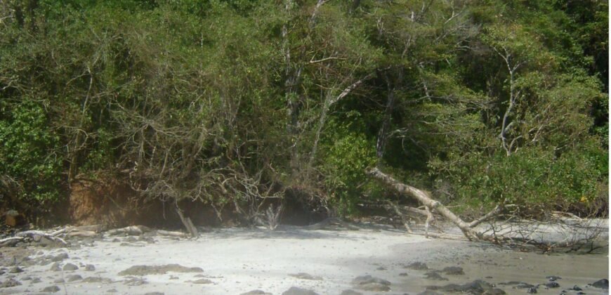 Island for Sale, With Title, in Gulf of Chiriquí