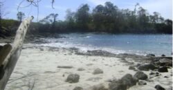 Island for Sale, With Title, in Gulf of Chiriquí