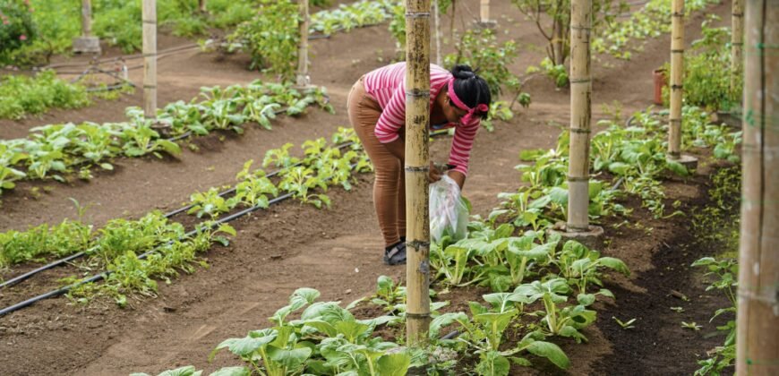 Finca Santa Marta