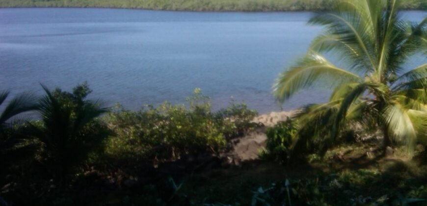 Isla Boquita Island Property