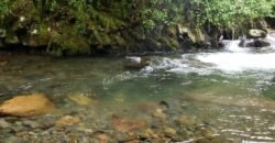 Riverside Eco-Property in Boquete for Sale