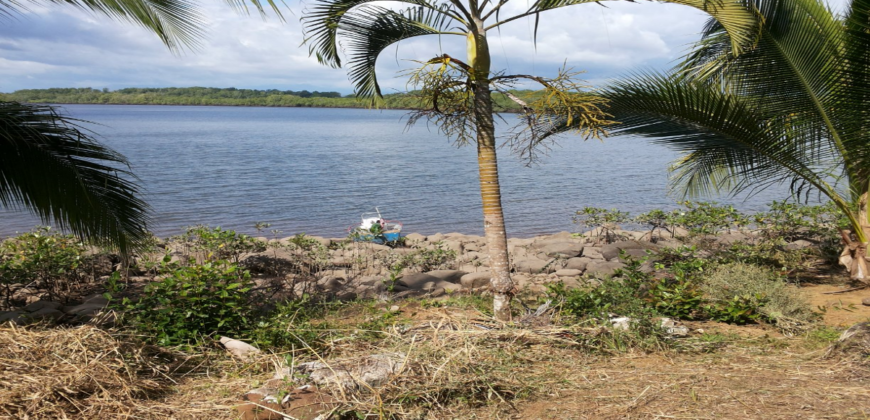 Isla Boquita Island Property