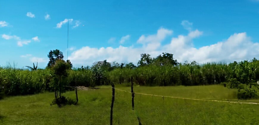 Paradise in Potrerillos-Farm